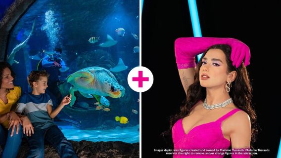 Orlando: Madame Tussauds and SEA LIFE Aquarium Combo Ticket