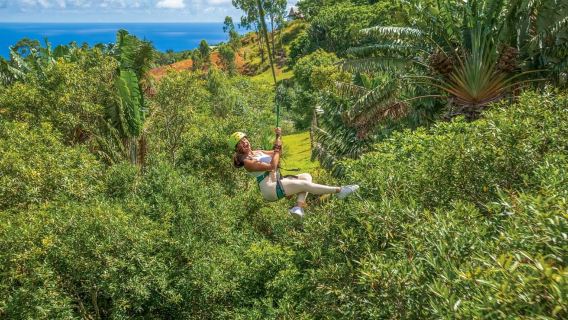 Mauritius: Vallé Advenature Park - Adventure Tour Zipline