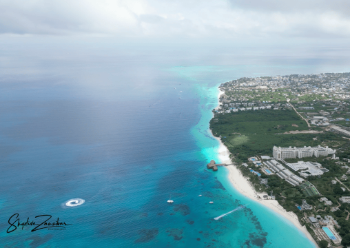 Kendwa: Tandem Skydive in Zanzibar