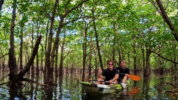 Iriomote island: Mangrove River SUP or Canoe Cruising Tour