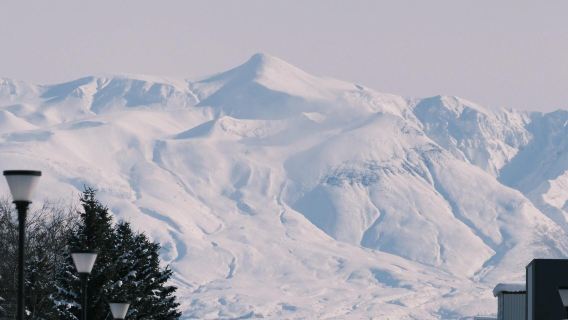 日本北海道旭川美瑛｜白鬚瀑布｜孤獨聖誕樹｜札幌來回｜中文專車