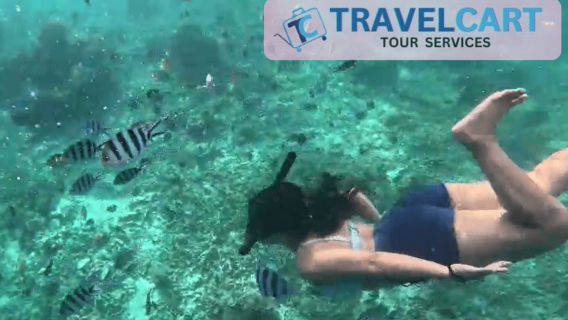 PORT BARTON: Full-day Shared Island Hopping Tour A