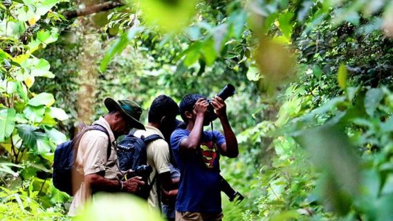 Excursión de un día a pie por la selva tropical de Sinharaja, declarada Patrimonio de la Humanidad por la UNESCO, y observación de aves