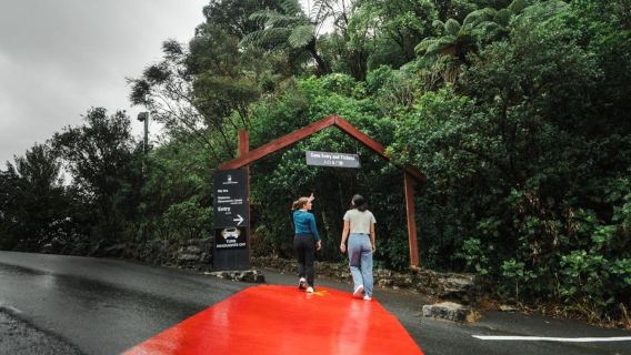 Auckland: One-Way Tour to Rotorua with Waitomo Caves