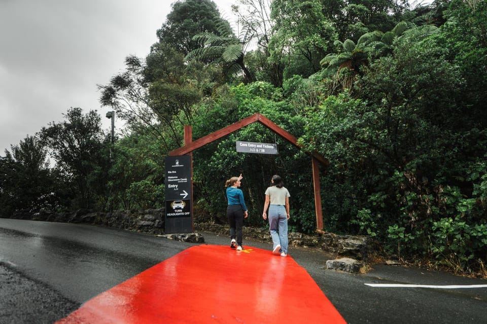 From Auckland: Rotorua via Waitomo Caves One-Way Tour
