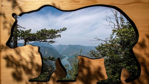 From Zlatibor/Užice: Tara National Park Adventure