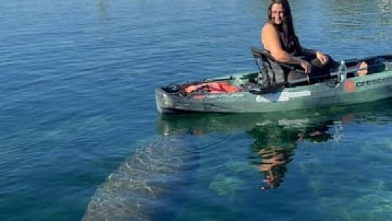 Crystal River: Manatee Season Tour w/ Free Photo Package