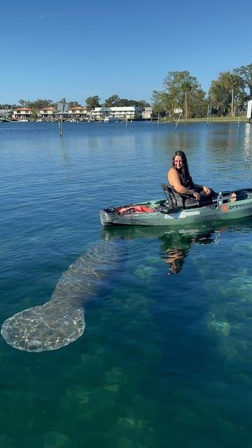 Crystal River: Manatee Season Tour w/ Free Photo Package