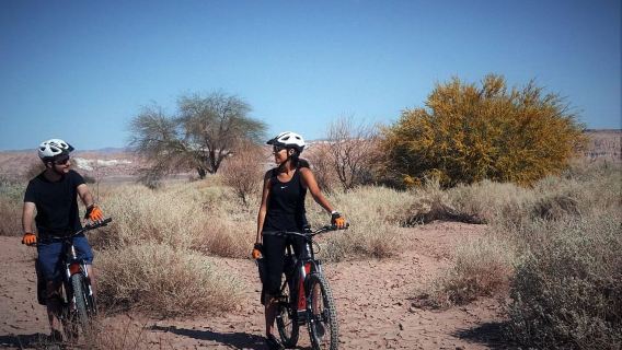 Dari San Pedro de Atacama: Moon Valley E-Bike Tour