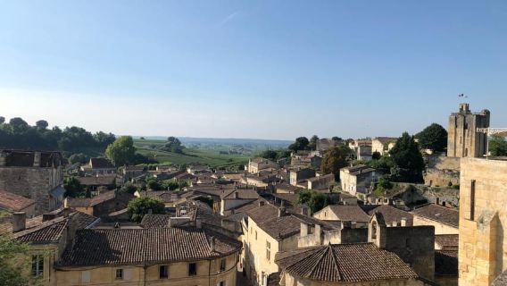 Da Bordeaux: tour enologico di mezza giornata a Saint-Emilion
