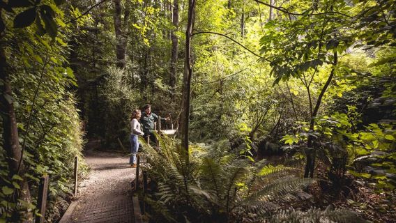 Billet d'entrée au parc Kiwi