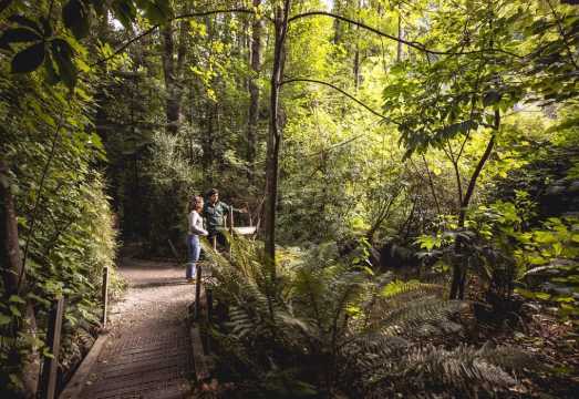 Kiwi Park Admission Ticket