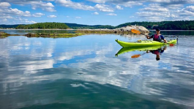 West Sweden: Paddle with seals