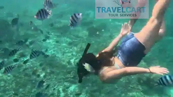 Port Barton Day Tour