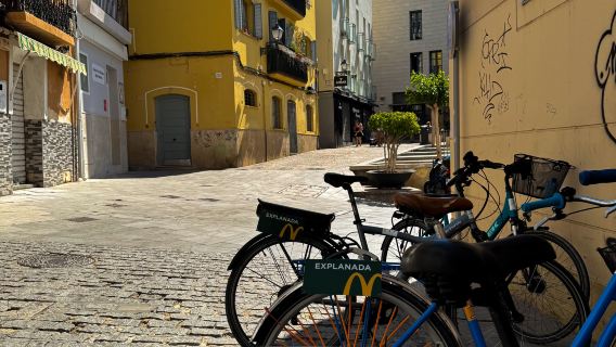 City Bike Tour Alicante XXL (Highlights of the city)