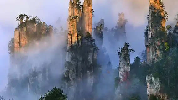 장가계 국가삼림공원 당일 치기 여행 [VIP 빠른 입장 선택 가능 8인/25인 그룹]