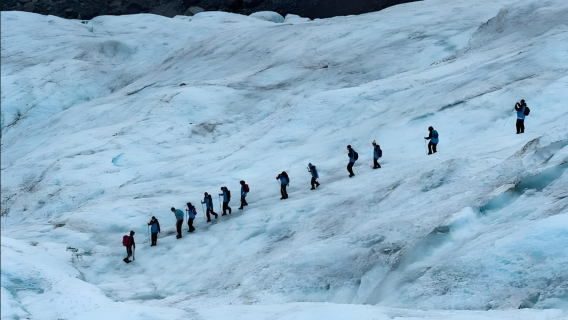 4-часовая пешеходная экскурсия по леднику Фокс Глейшер в Новой Зеландии (с трансфером на вертолете)