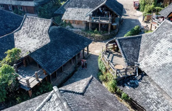 普洱景邁千年萬畝古茶園+翁基布朗族老寨+糯幹古寨包車一日遊