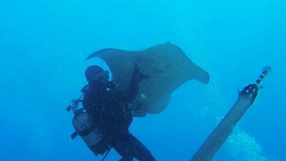 Los Cristianos: Guided Diving Class