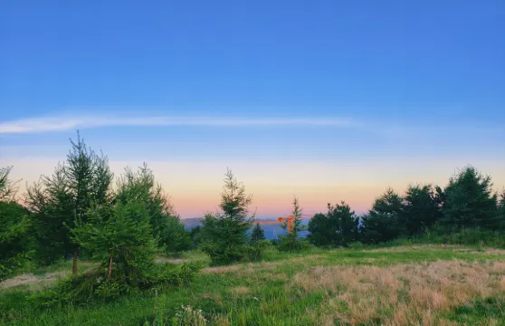 湖北宜昌博物館+三峽大瀑布+百里荒一日遊可中英文服務