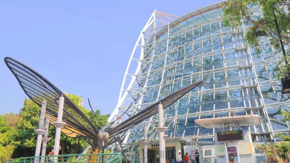 台灣台中｜旅遊陪同翻譯｜展會｜商務考察洽談｜自由行地接｜接機 （可私人定制）