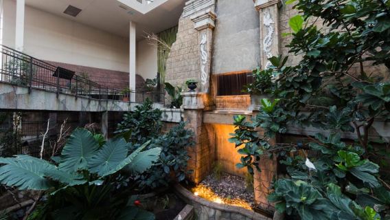 Ниагарский водопад, Канада: входной билет в Королевство птиц