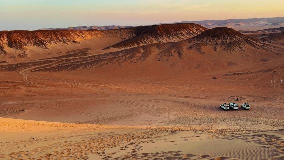 Hurghada, Egypt | Private Charter 1-Day Tour: Desert Dune Bashing + Camel Ride at Bedouin Village + Red Sea Snorkeling