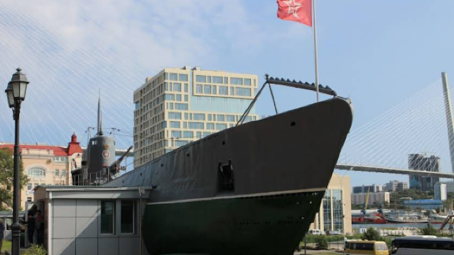 Vladivostok city day tour (customizable surrounding tours available) with hotel pickup and drop-off
