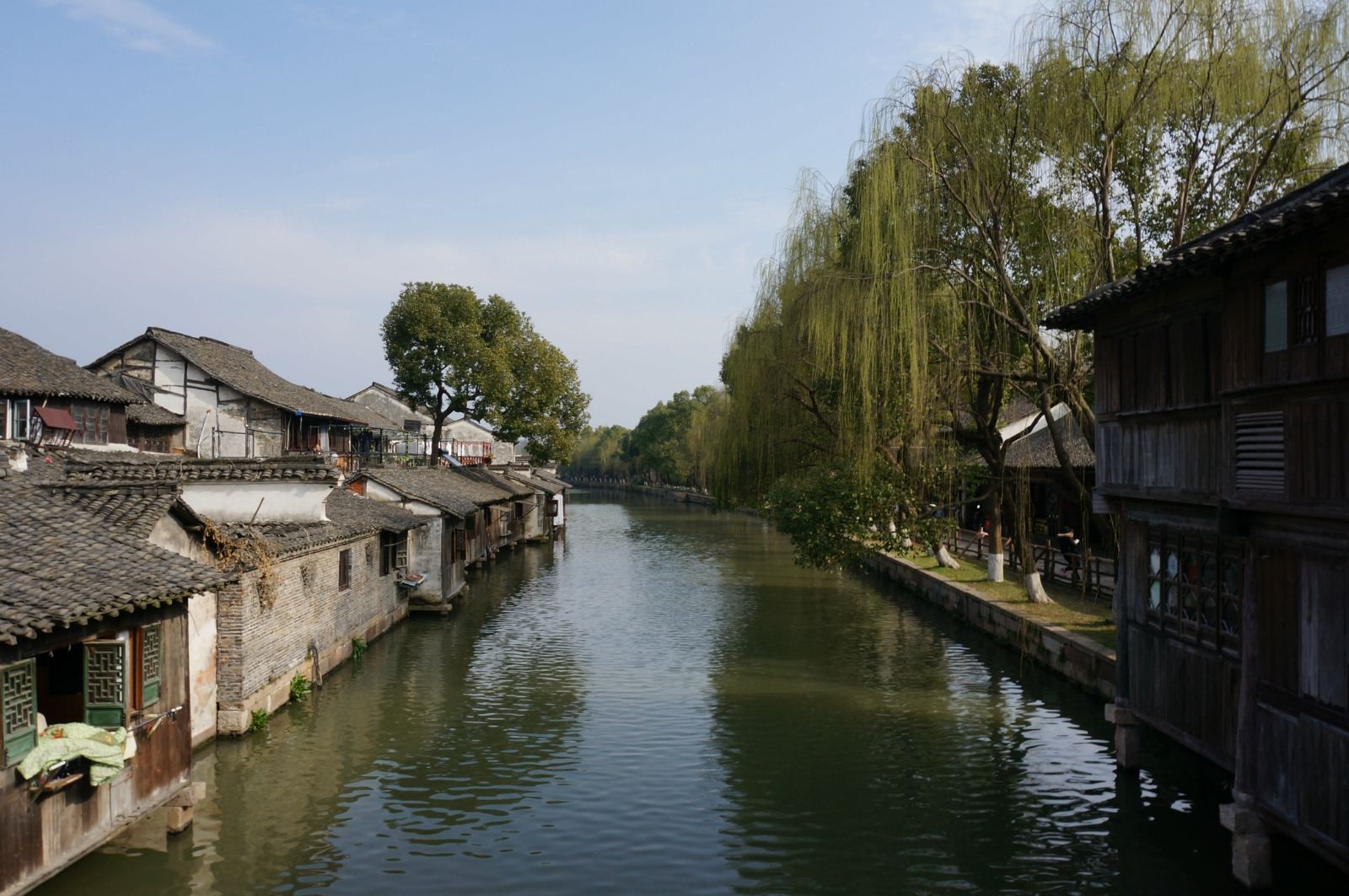 Autobus business | Guida in inglese opzionale | Partenza da Hangzhou per Xitang (inclusa barca) + Dongzha + Tour notturno a Xizha