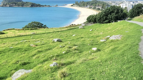 紐西蘭奧克蘭-教堂灣-科羅曼德爾半島【中文專車-愜意舒適】