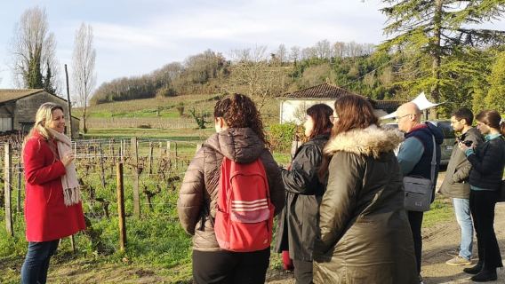 Dari Bordeaux: Lawatan Separuh Hari Saint-Émilion dengan Rasa Wain