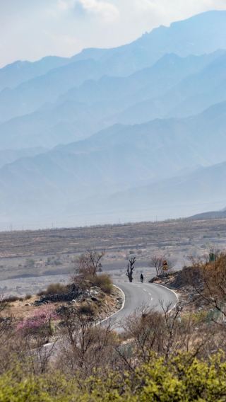 Yinchuan Helan Mountain National Forest Park + Rock Carvings + Chateau Yuanshi Day Tour with Bilingual Service (Chinese & English)