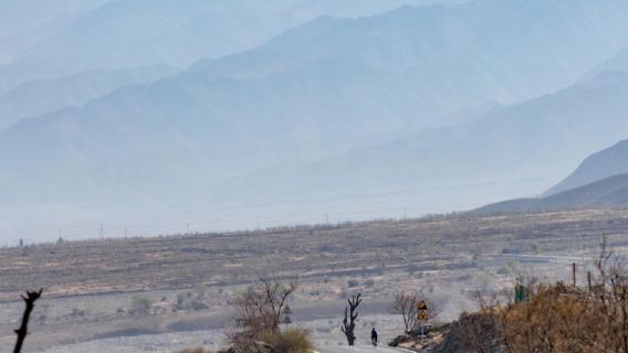 Excursion d'une journée en anglais au parc national forestier de la montagne Helan à Yinchuan + les peintures rupestres de la montagne Helan + le domaine viticole Yuanshi
