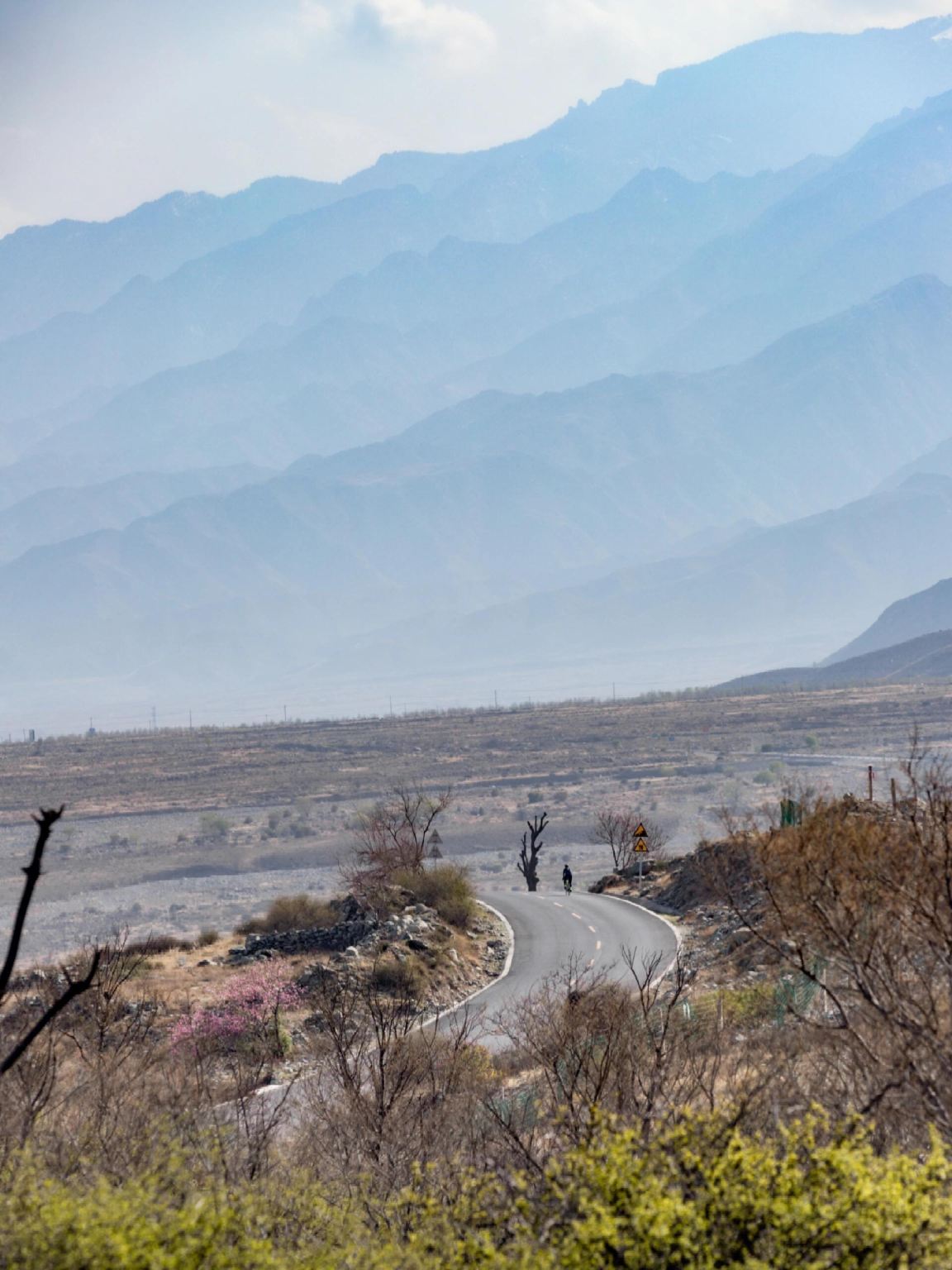 Tour di un giorno con servizio in inglese al Parco Nazionale Forestale di Helan Mountain a Yinchuan + le incisioni rupestri di Helan Mountain + la cantina Yuanshi