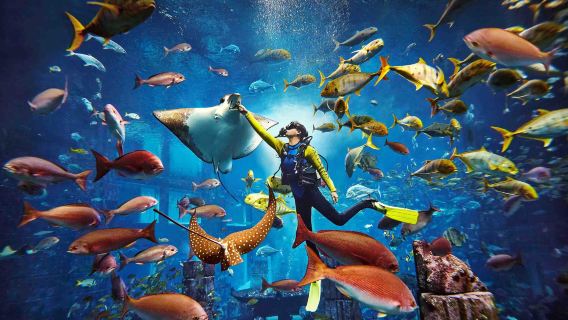Atlantis Aquaventure Waterpark mit Option Lost-World Aquarium - Ein unvergesslicher Tag