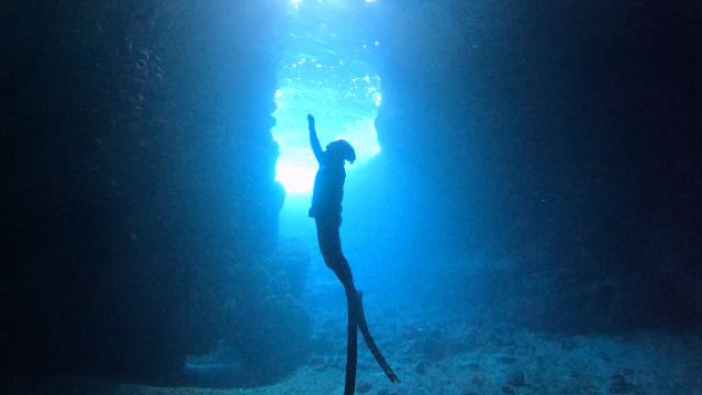 일본오키나와프리다이빙프리다이빙2시간 [보트 펀 프리다이빙 (사진촬영 전송 무료)]