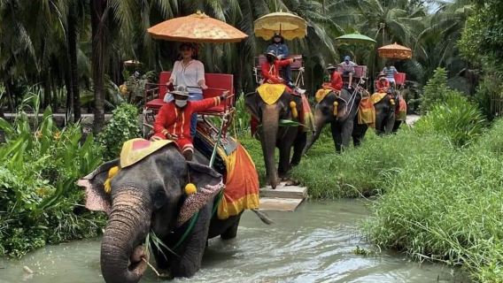 Acampamento de Elefantes em Damnoen Saduak, Tailândia: Passeio de elefante, campo de tiro - ATV - shows de elefantes, crocodilos e macacos, interação com tigres e leões