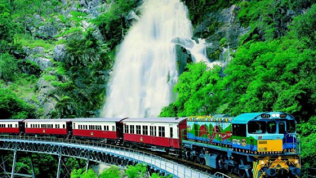 【午餐/抱樹熊/和牛晚餐可選】庫蘭達熱帶雨林公園小鎮一日遊