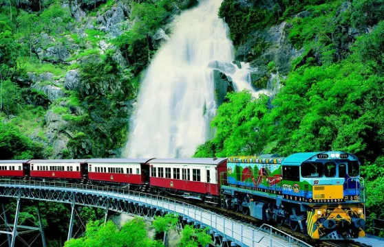 【午餐/抱樹熊/和牛晚餐可選】庫蘭達熱帶雨林公園小鎮一日遊