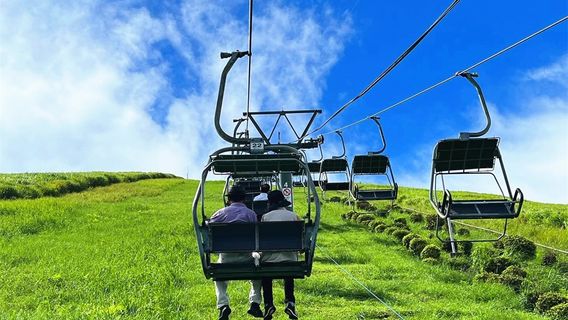 Izu Omuroyama Day Tour from Tokyo: Mt. Omuro & Izu Shaboten Zoo