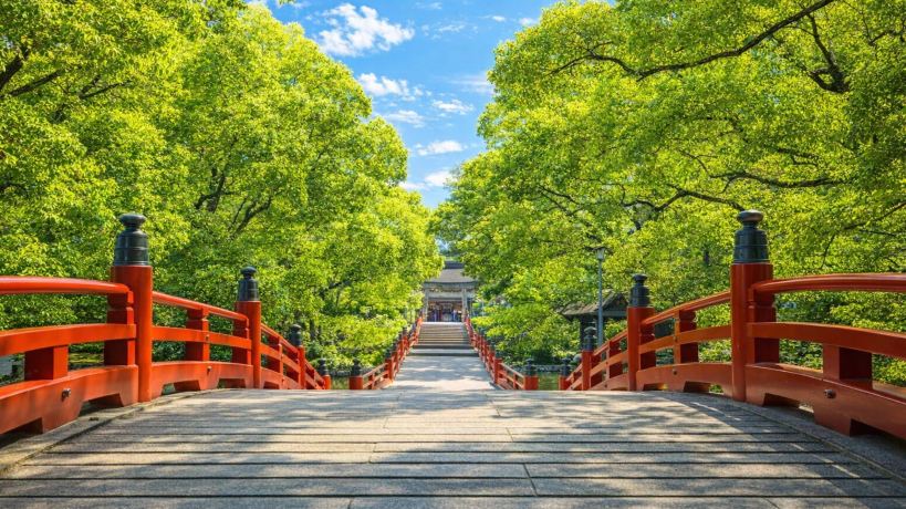 Yanagawa Island One-Day Tour