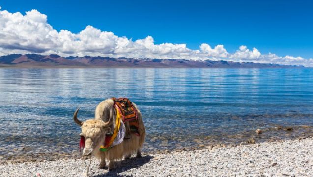 Tiket masuk Tarikan Pelancongan Namtso + tiket bas pelancongan harga sama untuk semua pengunjung