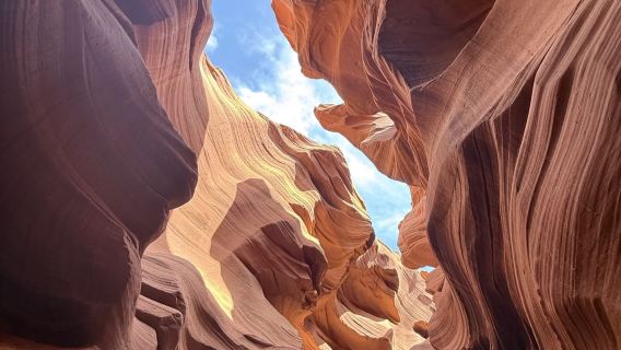 美國拉斯維加斯來回-羚羊谷-馬蹄灣-鮑威爾湖-12H包車