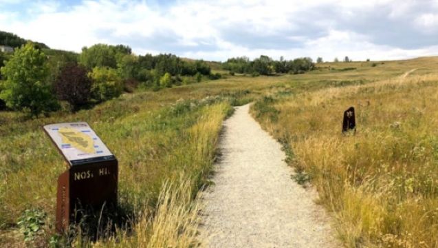 加拿大卡爾加里鼻山公園+馬蹄峽谷+卡爾加里大學【中文司機】