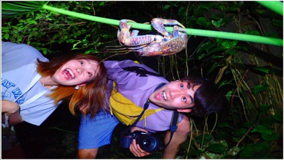 Отправляемся в джунгли [Миякодзима] за звёздами! Ночное и джунглевое сафари