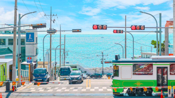 Taegu | Songhae Park X Palgongsan Kabelbane X Busan Akvarium X Kystbane *Afgang fra Busan