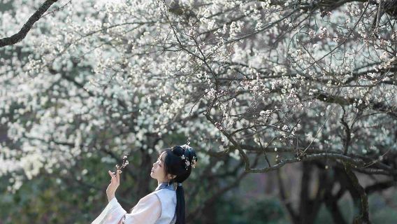 青岡Trip Moments【跟拍攝影親子家庭個人情侶照片短影片宣傳片寫真婚紗底片全送翻譯】