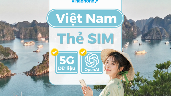 SIM Vinaphone bản địa Việt Nam | Thẻ SIM 5G | Hỗ trợ ChatGPT | Nhiều gói cước đa dạng | Nhận tại sân bay TP.HCM/Hà Nội/Đà Nẵng | Tính theo ngày tự nhiên