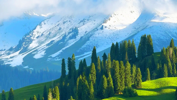 Premium private chartered tour + pure play with no shopping to Xinjiang Qaxi forest + Eight-diagram city 1-day tour
