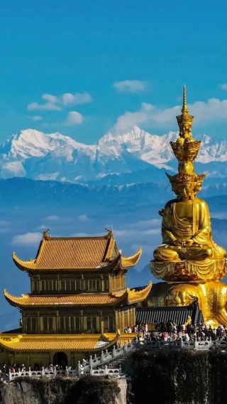 Private tour for 7 people with admission ticket - Leshan Giant Buddha and Mount Emei with English-speaking guide